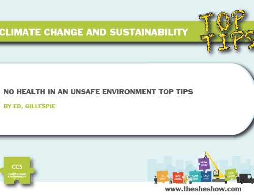 Top Tips: No Health in an Unsafe Environment