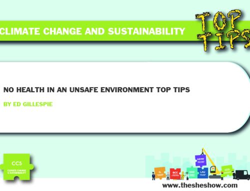 Top Tips: No Health in an Unsafe Environment